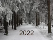 2022 YILI