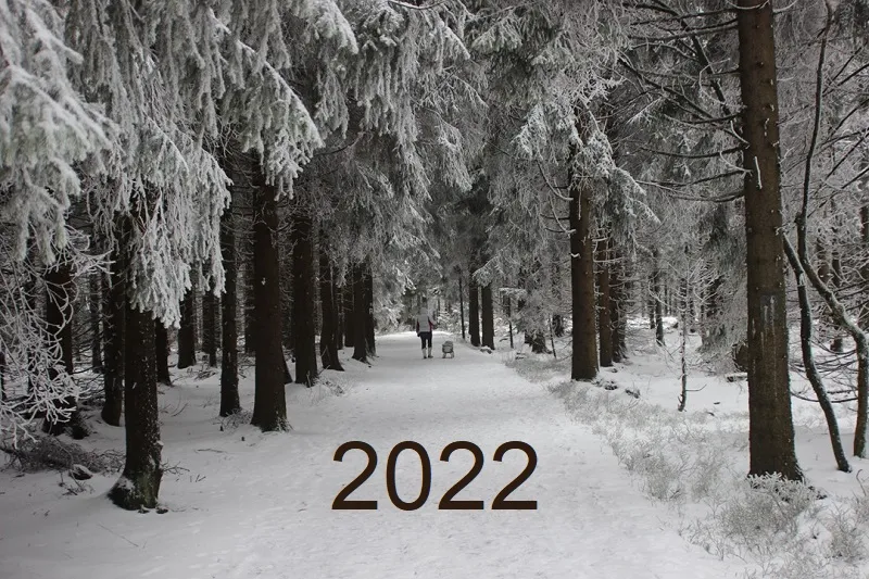 2022 yili - Yeni Yıla Girerken